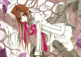 Vampire Knight 20 (Small)